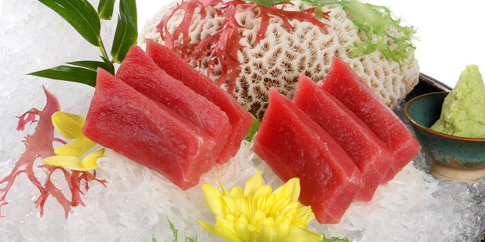Sashimi Cá Ngừ