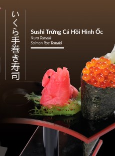 sushi-trung-ca-hoi-hinh-oc-12-8-1200