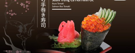 sushi-trung-ca-hoi-hinh-oc-12-8-1200