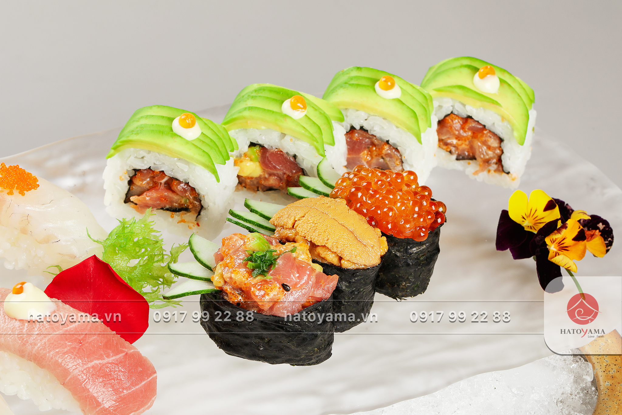 Tặng sushi toàn menu