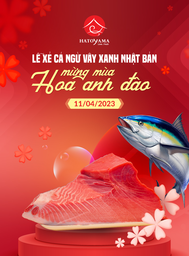 Lễ Xẻ cá ngừ vây xanh Nhật Bản - Mừng mùa hoa anh đào