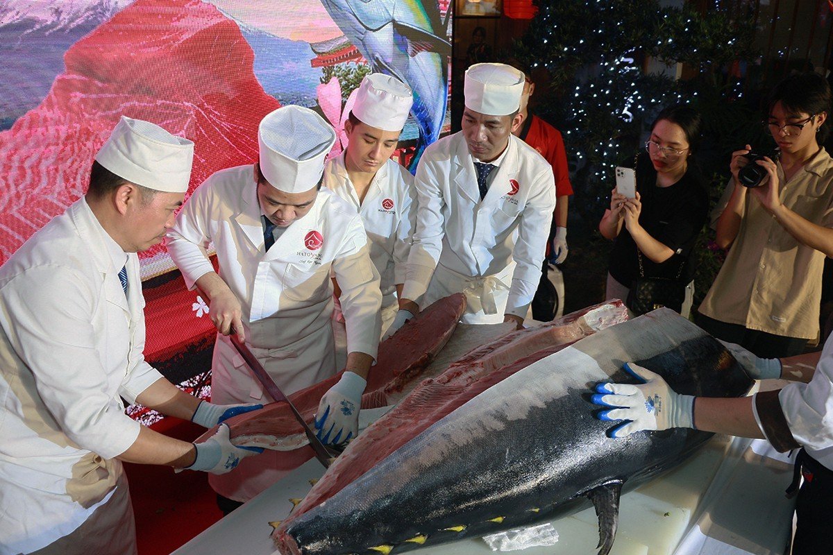 Cá ngừ được xẻ bởi những đầu bếp chuyên nghiệp, giàu kinh nghiệm của nhà hàng