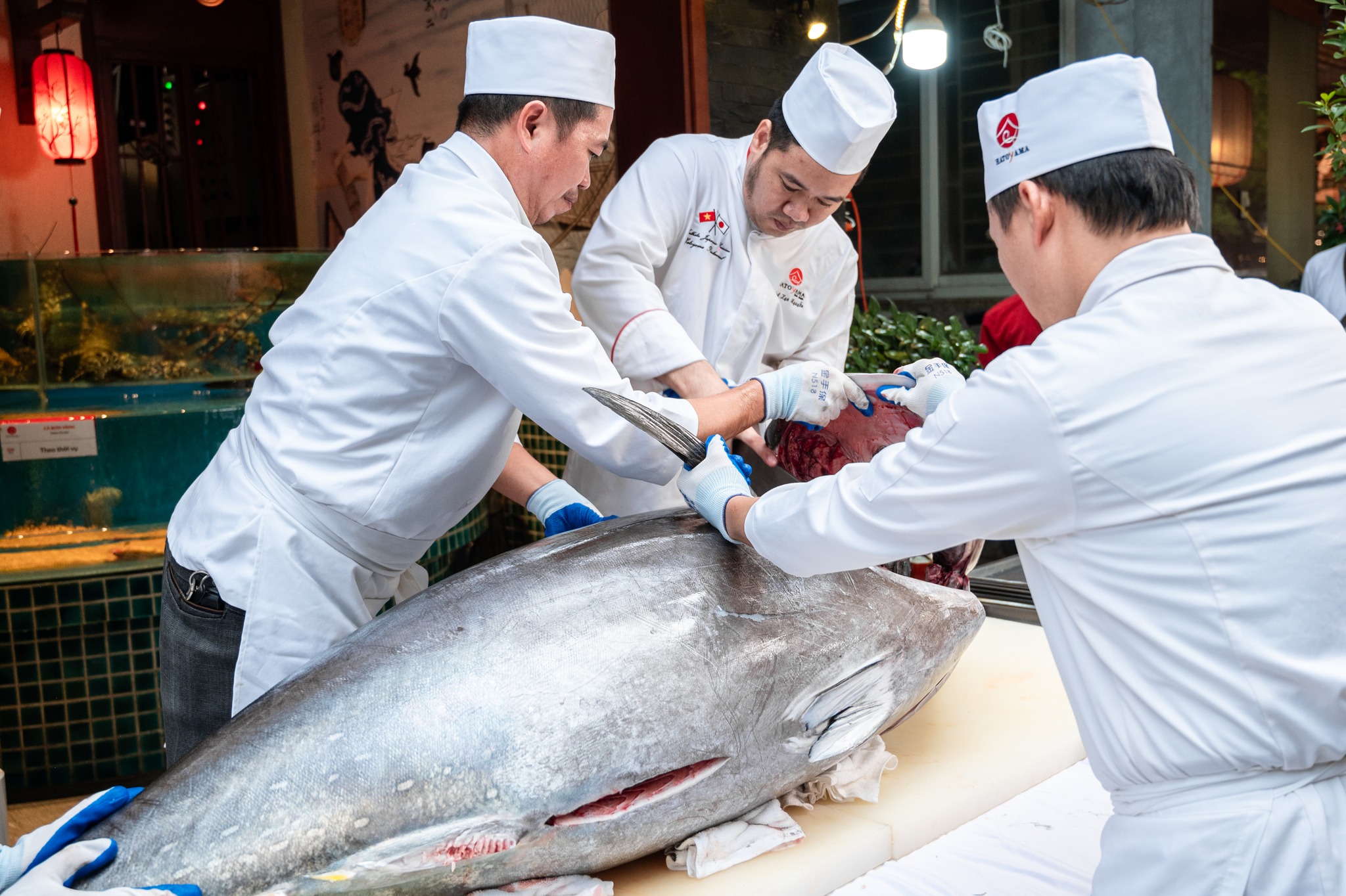 Xẻ cá ngừ vây xanh - Chào mừng Quốc Khánh