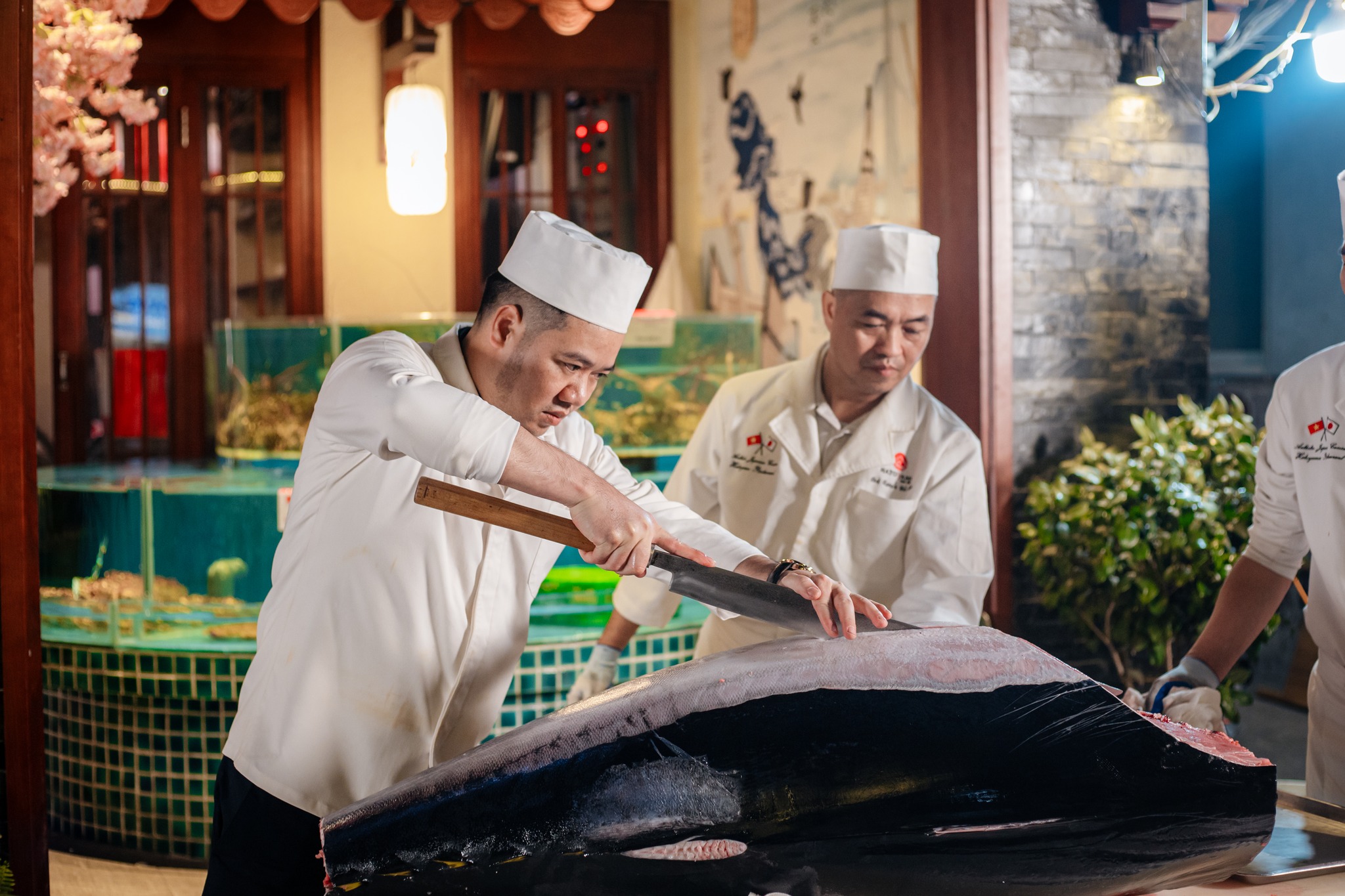 Xẻ cá ngừ vây xanh - Tri ân ngày Nhà giáo Việt Nam