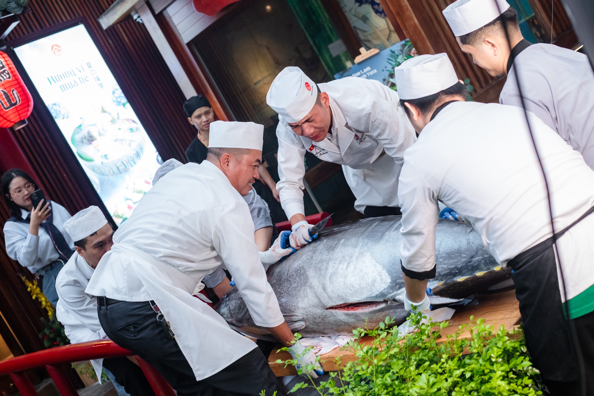 Xẻ cá ngừ vây xanh - Mừng mùa biển bội thu