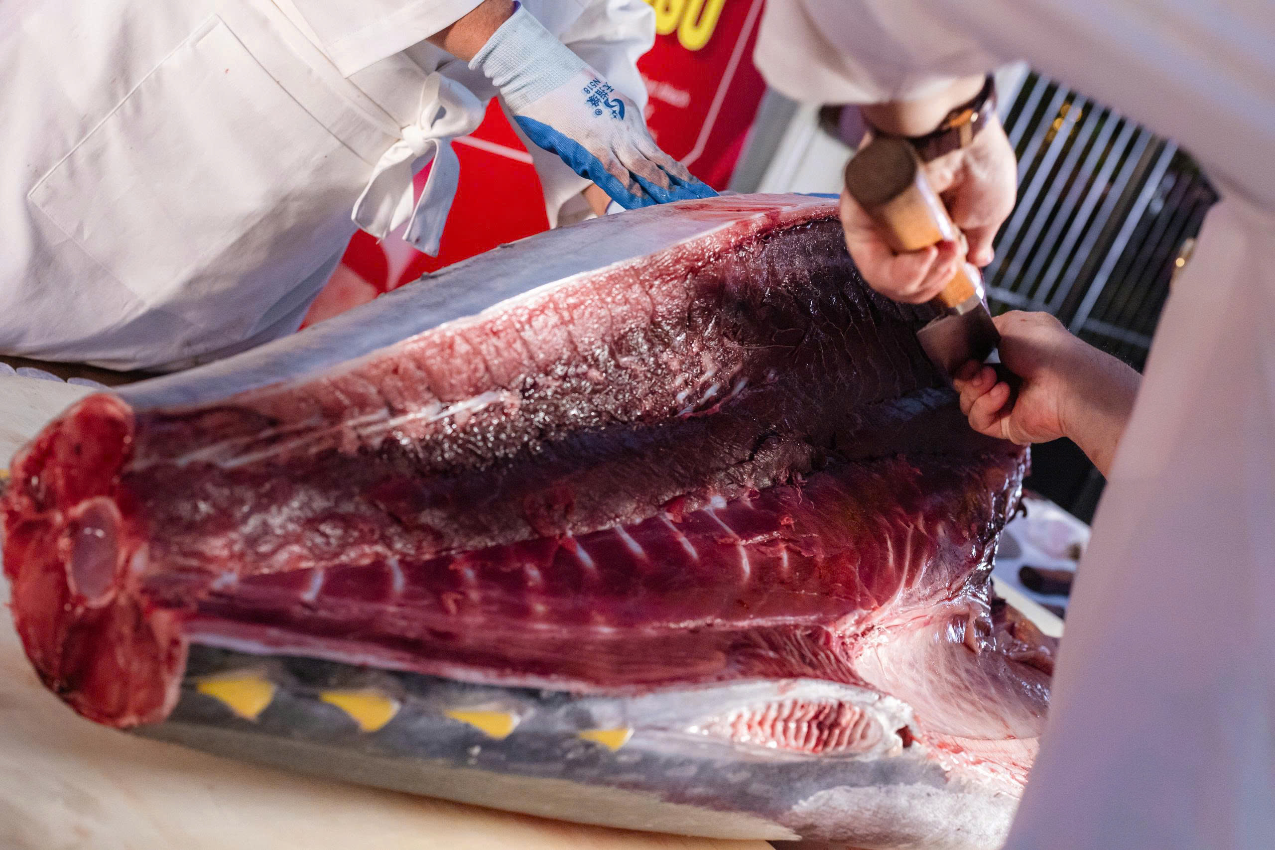 Xẻ cá ngừ Nhật Bản - Mừng sinh Nhật Hatoyama Ngoại Giao Đoàn 3 tuổi