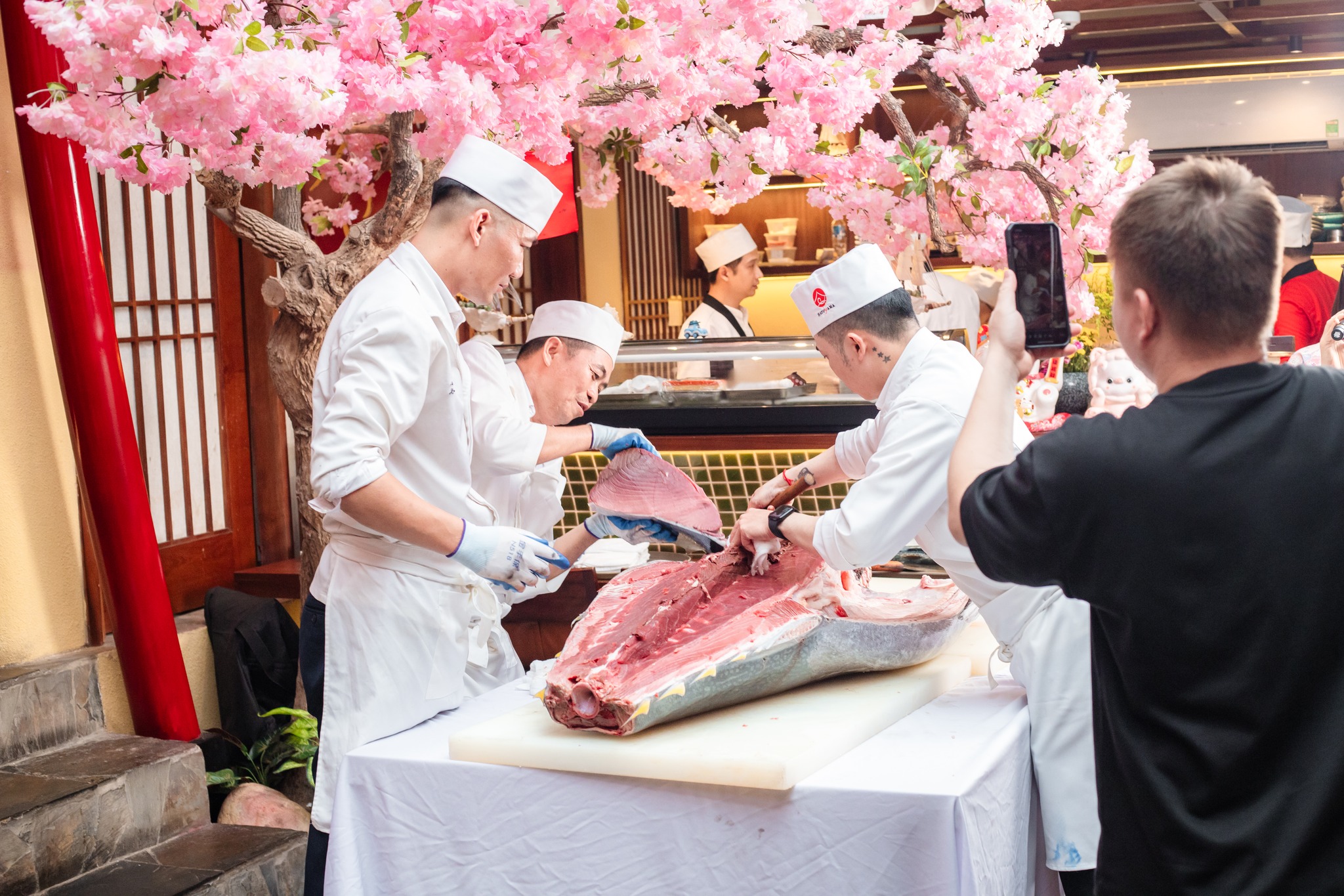 Xẻ cá ngừ vây xanh - Đón mùa xuân mới